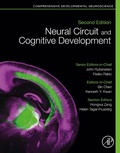 Cover: Neural Circuit and Cognitive Development - Academic Press