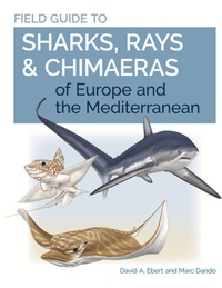 Abbildung von: Field Guide to Sharks, Rays & Chimaeras of Europe and the Mediterranean - Princeton University Press