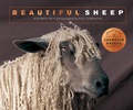 Cover: Beautiful Sheep - Ivy Press