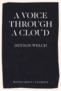 Cover: A Voice Through A Cloud - Woolf Haus Publishing