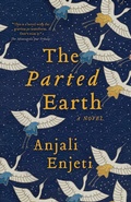 Cover: The Parted Earth - Hub City Press