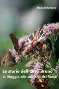 Cover: Le storie dell'Orso Bruno. II. Viaggio alle sorgenti del fiume - Youcanprint