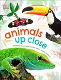 Cover: Animals Up Close - DK Children