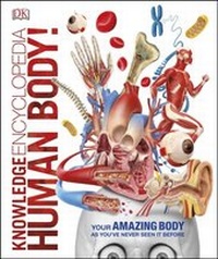 Abbildung von: Knowledge Encyclopedia Human Body! - DK Children
