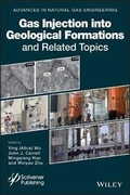 Cover: Gas Injection into Geological Formations and Related Topics - Wiley