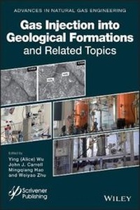 Enlarge image Cover: Gas Injection into Geological Formations and Related Topics - Wiley