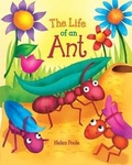 Cover: The Life of Ant 2020 - Buttercup Publishing Ltd