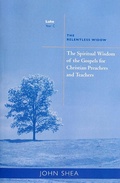 Cover: The Spiritual Wisdom Of Gospels For Christian Preachers And Teachers - Liturgical Press