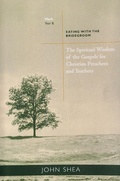 Cover: The Spiritual Wisdom of Gospels for Christian Preachers and Teachers - Liturgical Press