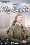 Cover: Sky Knights - JMS Books LLC