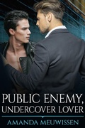 Cover: Public Enemy, Undercover Lover - JMS Books LLC
