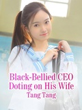 Cover: Black-Bellied CEO Doting on His Wife - Funstory