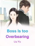 Cover: Boss Is too Overbearing - Funstory