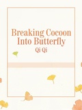 Cover: Breaking Cocoon Into Butterfly - Funstory