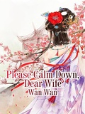 Cover: Please Calm Down, Dear Wife - Funstory