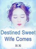 Cover: Destined: Sweet Wife Comes - Funstory