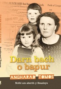 Cover: Darn Bach o Bapur - Gwasg Carreg Gwalch