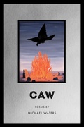 Cover: Caw - BOA Editions Ltd.