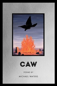 Enlarge image Cover: Caw - BOA Editions Ltd.