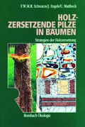 Cover: Holzzersetzende Pilze in B&auml;umen - Rombach Wissenschaft