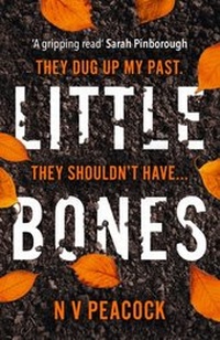 Abbildung von: Little Bones - AVON, a division of HarperCollins Publishers Ltd