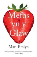 Cover: Mefus yn y Glaw - Gwasg y Bwthyn Cyf