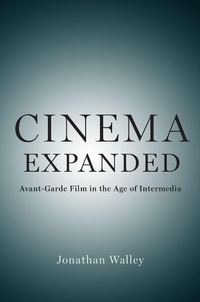 Enlarge image Cover: Cinema Expanded - OUP eBook