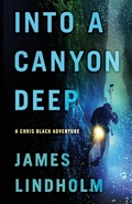 Cover: Into A Canyon Deep - CamCat Publishing, LLC