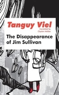 Cover: The Disappearance of Jim Sullivan - Dalkey Archive Press