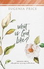 Cover: What is God Like? - Turner Publishing Company