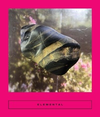 Enlarge image Cover: Elemental - Two Lines Press