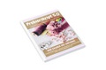 Cover: Probierskript 5.0 Zauber des Anfangs - Lernbistro GmbH