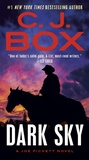 Cover: Dark Sky - G.P. Putnam's Sons