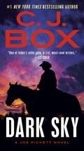 Cover: Dark Sky - G.P. Putnam's Sons