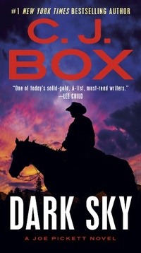 Enlarge image Cover: Dark Sky - G.P. Putnam's Sons