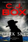 Cover: Dark Sky - G P Putnam's Sons