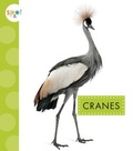 Cover: Cranes - Amicus Learning