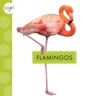Cover: Flamingos - Amicus Learning