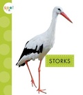 Cover: Storks - Amicus Learning