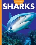 Cover: Curious about Sharks - Amicus Learning