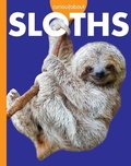 Cover: Curious about Sloths - Amicus Learning