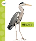 Cover: Herons - AMICUS INK