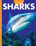 Cover: Curious about Sharks - AMICUS INK