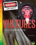 Cover: Vultures and Other Birds - Escape