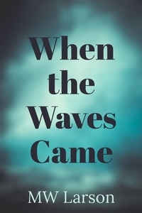 Enlarge image Cover: When the Waves Came - Chin Music