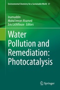 Cover: Water Pollution and Remediation: Photocatalysis - Springer