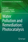 Cover: Water Pollution and Remediation: Photocatalysis - Springer