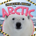 Cover: In the Arctic - BookLife Publishing