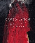 Cover: David Lynch. Someone is in my House - Prestel