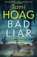 Cover: Bad Liar - Orion
